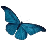 category